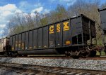 CSX 300075